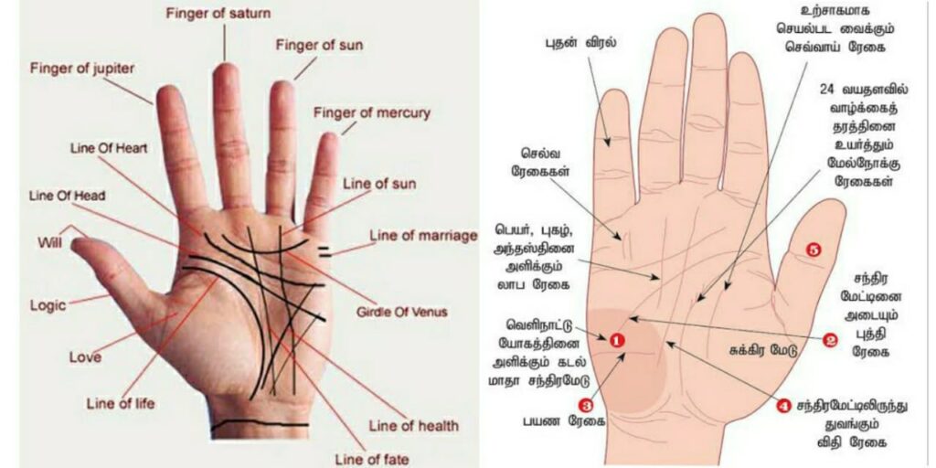 Palmistry